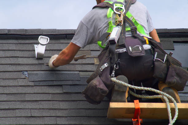 Best Roof Waterproofing Services  in Roosevelt Park, MI