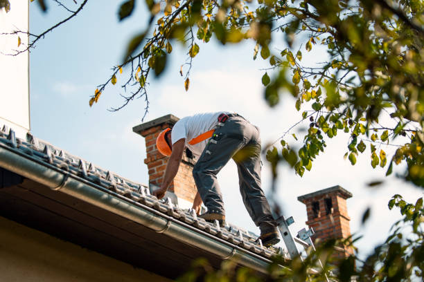Best Roof Replacement Cost  in Roosevelt Park, MI