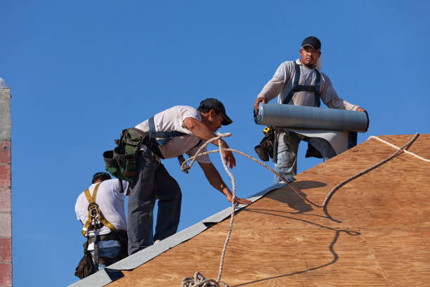 Best Storm Damage Roof Repair  in Roosevelt Park, MI