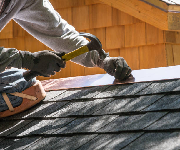 Roof Gutter Cleaning in Roosevelt Park, MI